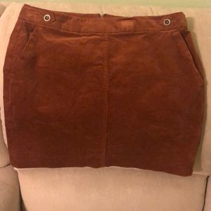 Banana Republic Skirt